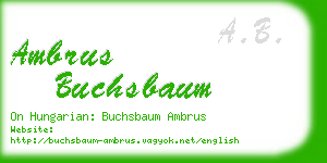 ambrus buchsbaum business card